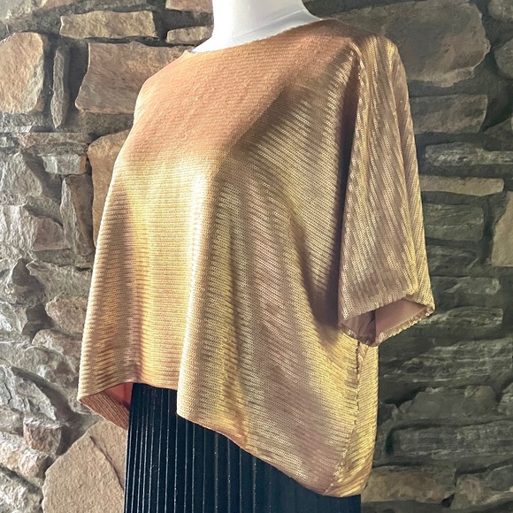 Cesar Galindo Matte Gold Sequined Top - Picture 3 of 6